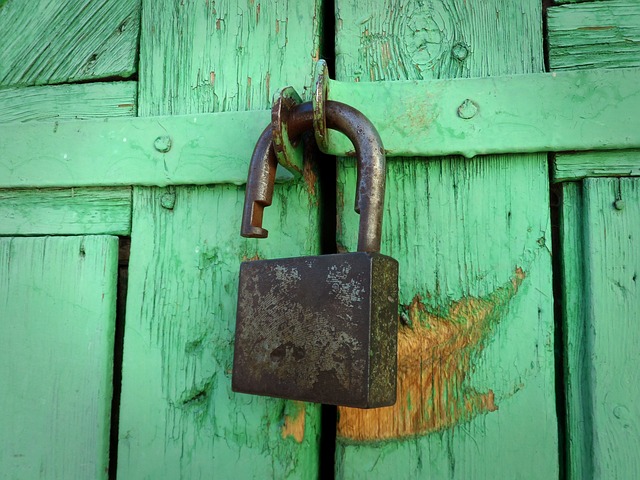 Który u lock kupić? Który u lock kupić?