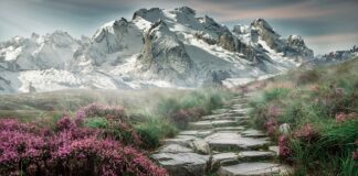 Jak zrobić schody policzkowe?